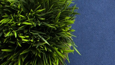 La FTC consideró que Amazon Prime utilizó un proceso fraudulento para suscribir personas y dificultarles la cancelación del servicio.