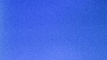 Fátima Bosch, Miss Universo 2025.