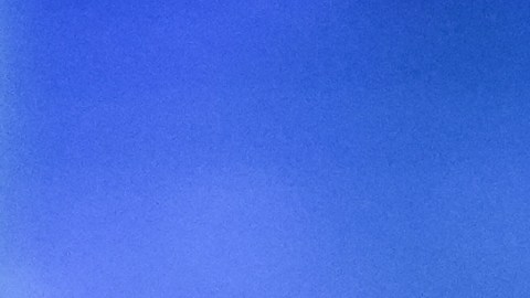 Fátima Bosch, Miss Universo 2025.