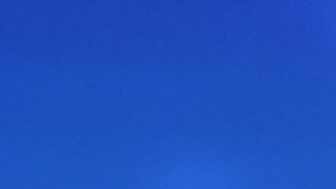 Fátima Bosch ganó el Miss Universo 2025.