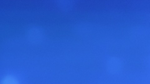 Fátima Bosch es la cuarta mexicana que logra la corona del Miss Universo.