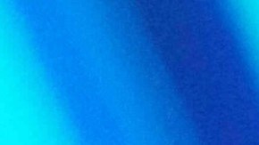 Fátima Bosch, Miss Universo 2025, causó revuelo en el certamen por responderle a Nawat Itsaragrisil.