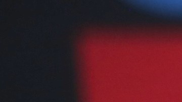 Fátima Bosch es la representante de Miss México.