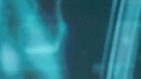 Fátima Bosch logró la corona del Miss Universo 2025 en Tailandia.