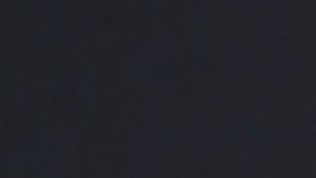 Fátima Bosch, Miss Universe México, se ha convertido en una de las participantes más mediáticas de esta edición del certamen de belleza.