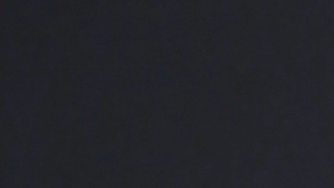 Fátima Bosch, Miss Universe México, se ha convertido en una de las participantes más mediáticas de esta edición del certamen de belleza.