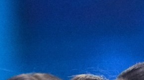 Fátima Bosch fue coronada Miss Universo 2025 en Tailandia.