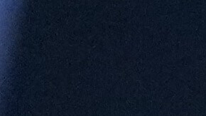 Fátima Bosch, Miss Universo 2025.