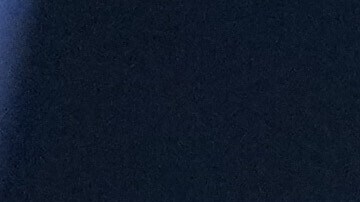 Fátima Bosch, Miss Universo 2025.