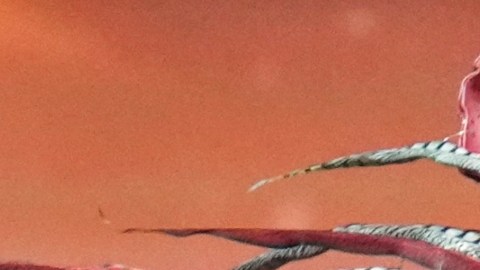 Fátima Bosch, Miss Universo 2025, en su presentación en traje típico.