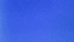 Fátima Bosch, Miss Universo 2025, estará en la Gran Manzana.