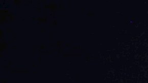 Fátima Bosch es la representante de Miss México.