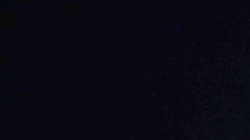 Fátima Bosch es la representante de Miss México.