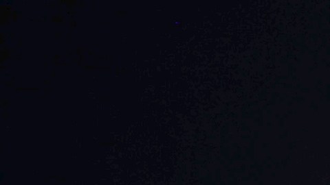 Fátima Bosch es la representante de Miss México.