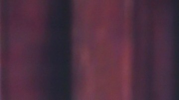 Francisca, presentadora de televisión, envió un conmovedor mensaje en Despierta América.