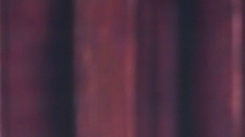 Francisca, presentadora de televisión, envió un conmovedor mensaje en Despierta América.