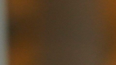 George Lucas no ha confirmado que se mudará de Estados Unidos.