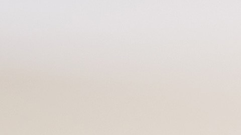 Aproveche la ayuda gratuita y personalizada para la inscripción que ofrece NY State of Health, el Mercado oficial de planes de salud del estado.