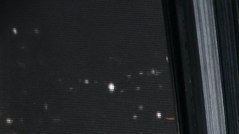 Gustavo Adolfo Infante.