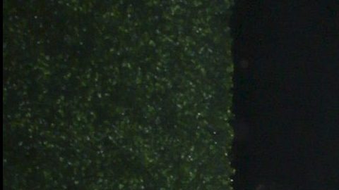 Harry y Meghan Markle fueron fotografiados al llegar a la fiesta.