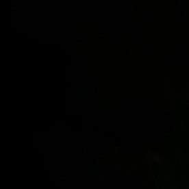 La plataforma Islip Forward hace seguimientos a los avistamientos de la agencia federal que se pronunciaron en este mes de noviembre.