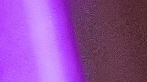 Primarias entre Michael Blake y Ritchie Torres