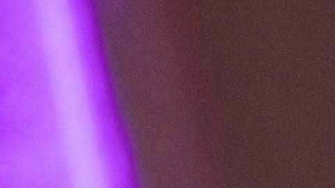 Primarias entre Michael Blake y Ritchie Torres