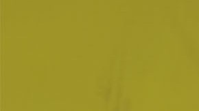 Víctor Manuel Vucetich descarta su retiro del fútbol.