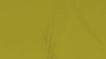 Víctor Manuel Vucetich descarta su retiro del fútbol.