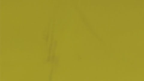 Víctor Manuel Vucetich descarta su retiro del fútbol.