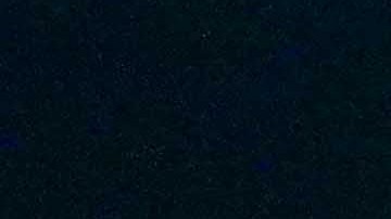 Allan Saint-Maximin resalta el trabajo de André Jardine.