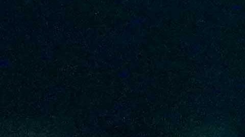 Allan Saint-Maximin resalta el trabajo de André Jardine.