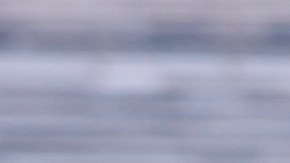 Entrenador de Panamá quita culpa a Carrasquilla por lesión de Mier.