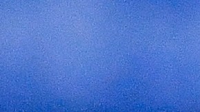 Pablo Barrera elogia la carrera de Chicharito Hernández.