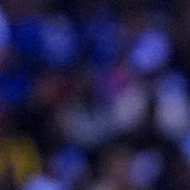 Kevin Mier sufre una dura lesión que lo deja fuera de acción.