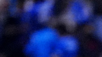 Efraín Juárez habla sobre la eliminación de los Pumas.