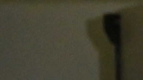 Javier Aguirre no confirma la presencia de Memo Ochoa en la selección.