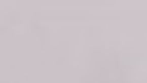 Sumith Gunasekera está bajo custodia de ICE.