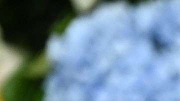 James Pickens Jr. es parte de ‘Grey’s Anatomy’ desde su estreno en 2005.