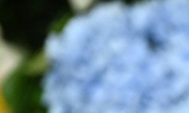 James Pickens Jr. es parte de ‘Grey’s Anatomy’ desde su estreno en 2005.