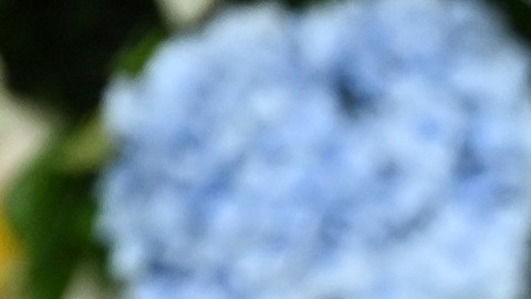 James Pickens Jr. es parte de ‘Grey’s Anatomy’ desde su estreno en 2005.