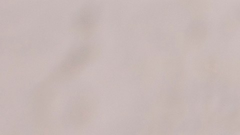 El jugo de zanahoria está cargado de vitaminas y nutrientes que benefician la digestión.