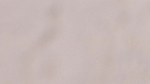 El jugo de zanahoria está cargado de vitaminas y nutrientes que benefician la digestión.