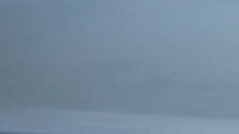 El kéfir es considerado oro para la salud y se puede preparar en casa.