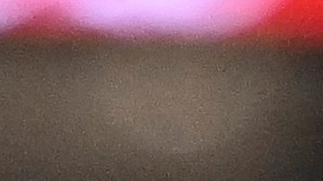 Kris Boyd cuando era jugador de Houston Texans.