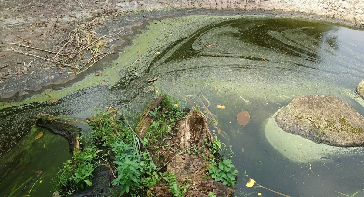FAO: Desastres naturales causan pérdidas agrícolas de $3.26 billones en 33 años