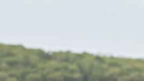 Democrat Carol Obando Derstine is challenging Republican Ryan Mackenzie.