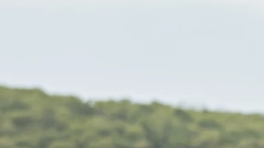 La demócrata Carol Obando-Derstine reta al republicano Ryan Mackenzie.