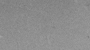 Lena Horne fue dueña de esta casa desde 1946 hasta 1962.