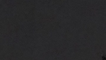 Lorenzo Bertelli reconoció la importancia de la marca Armani para fortalecer el consorcio de Prada.